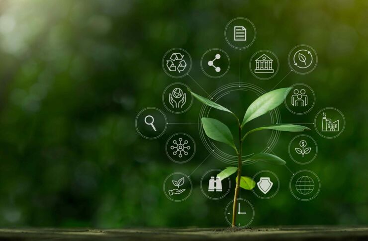 Environmental-Policy